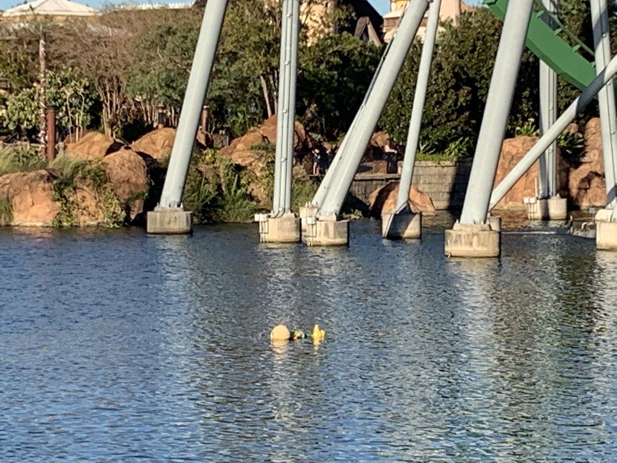 AndrewOfPeace's tweet photo. One of the sneetches are floating away @UniversalORL https://t.co/9ydhFumJZV