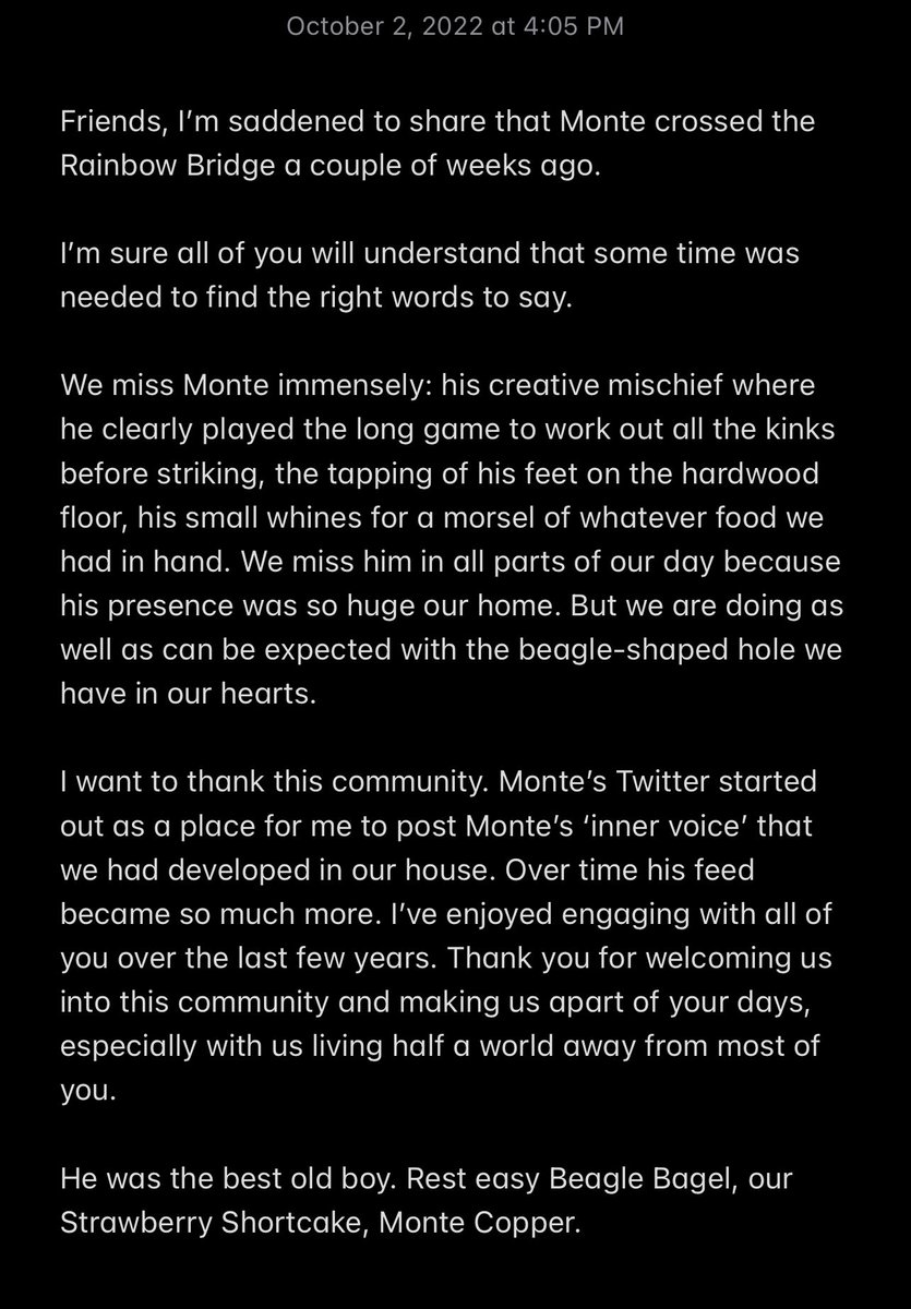 Monte Copper Beagle tweet media