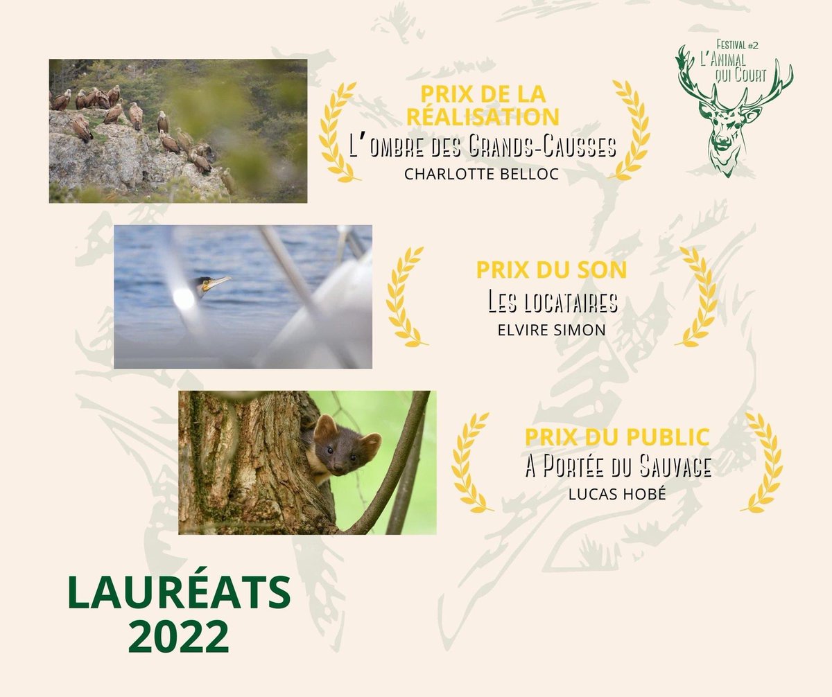 HobeLucas's tweet photo. Mon film « À portée du sauvage » remporte le prix du public au festival « L’animal qui court » 🥇#filmanimalier #wildlife #biodiversity #mayenne https://t.co/9iTDkM2sb6