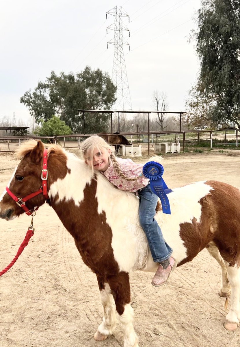 madisoncambria's tweet photo. My little sisters pony was stolen from Robertson Stables in Bakersfield on 9/25. We are offering a $5000 reward for the safe return of Razzle, no questions asked. Please share so this can reach the right person 💔 https://t.co/27xfRIWnt6