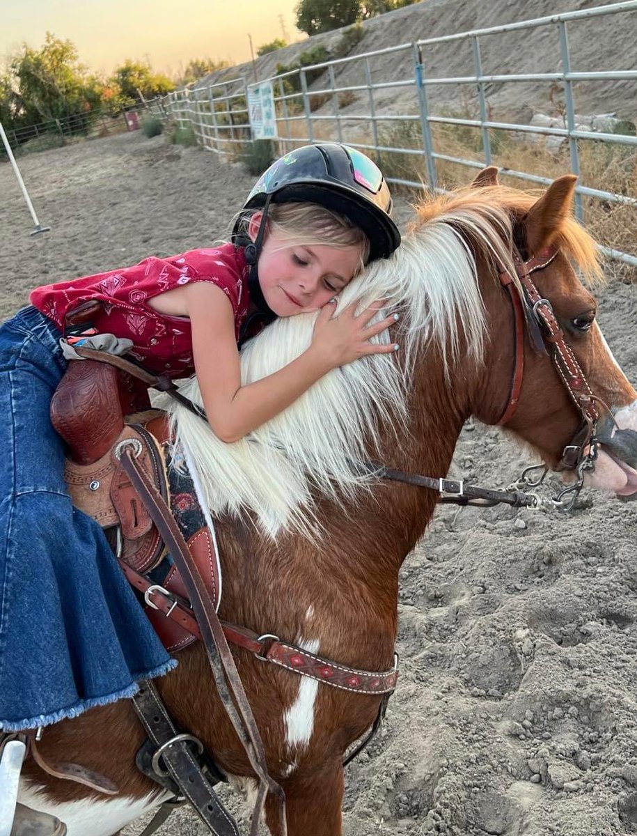 madisoncambria's tweet photo. My little sisters pony was stolen from Robertson Stables in Bakersfield on 9/25. We are offering a $5000 reward for the safe return of Razzle, no questions asked. Please share so this can reach the right person 💔 https://t.co/27xfRIWnt6