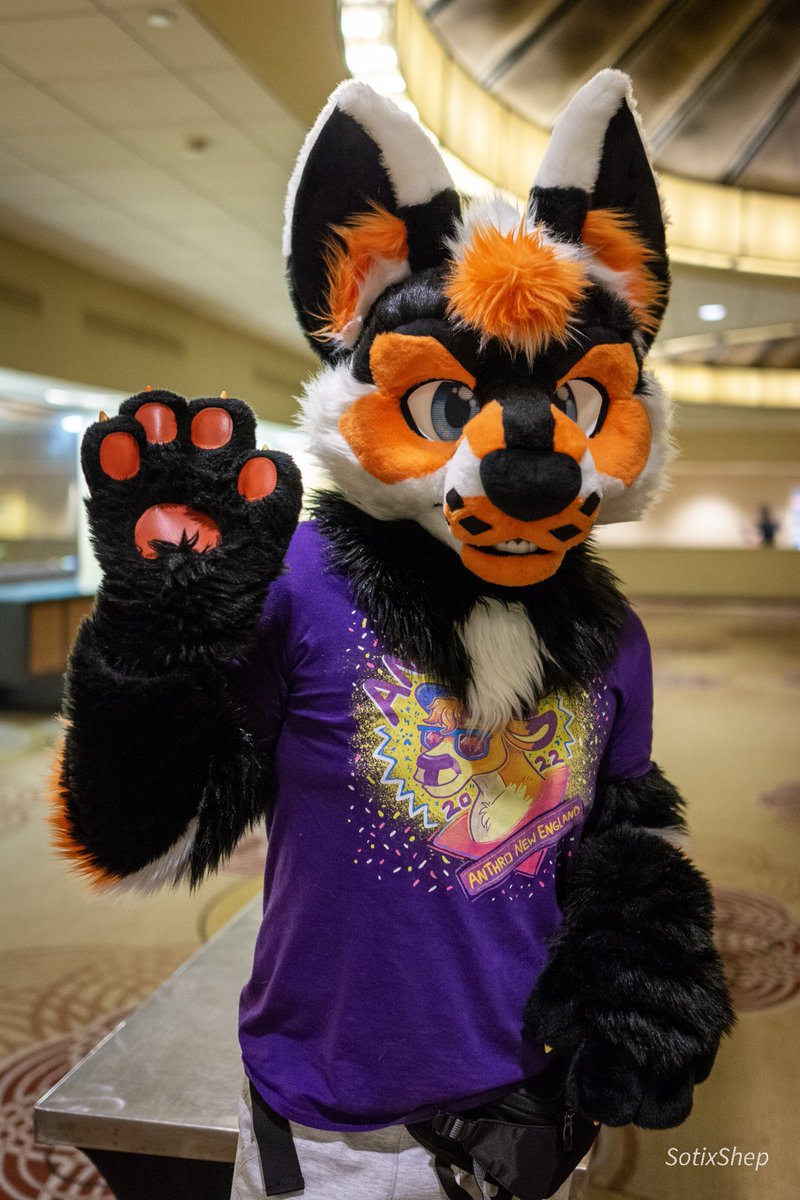 Frisky 🦨 Skuppy 🐶 ➡️ FE & AC tweet media