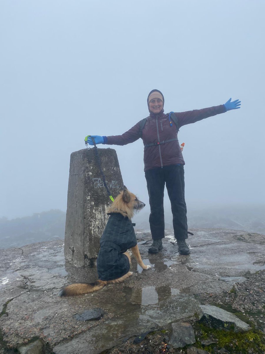 Alison Armstrong tweet media