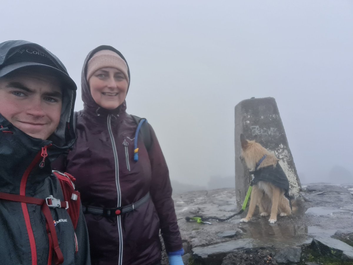 Alison Armstrong tweet media