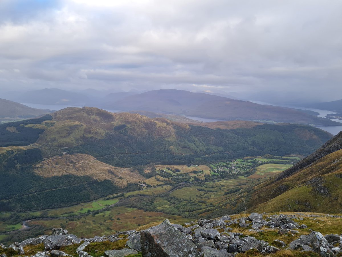 Alison Armstrong tweet media