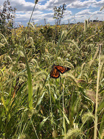LhsHonor's tweet photo. Beautiful day for Adopt A Highway 🛣 https://t.co/zk7CWRBL5o