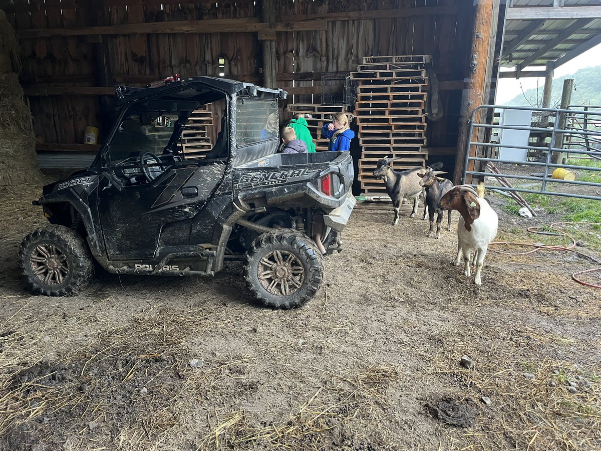 A dreary nasty rainy weekend but we’re making the best that we can of it