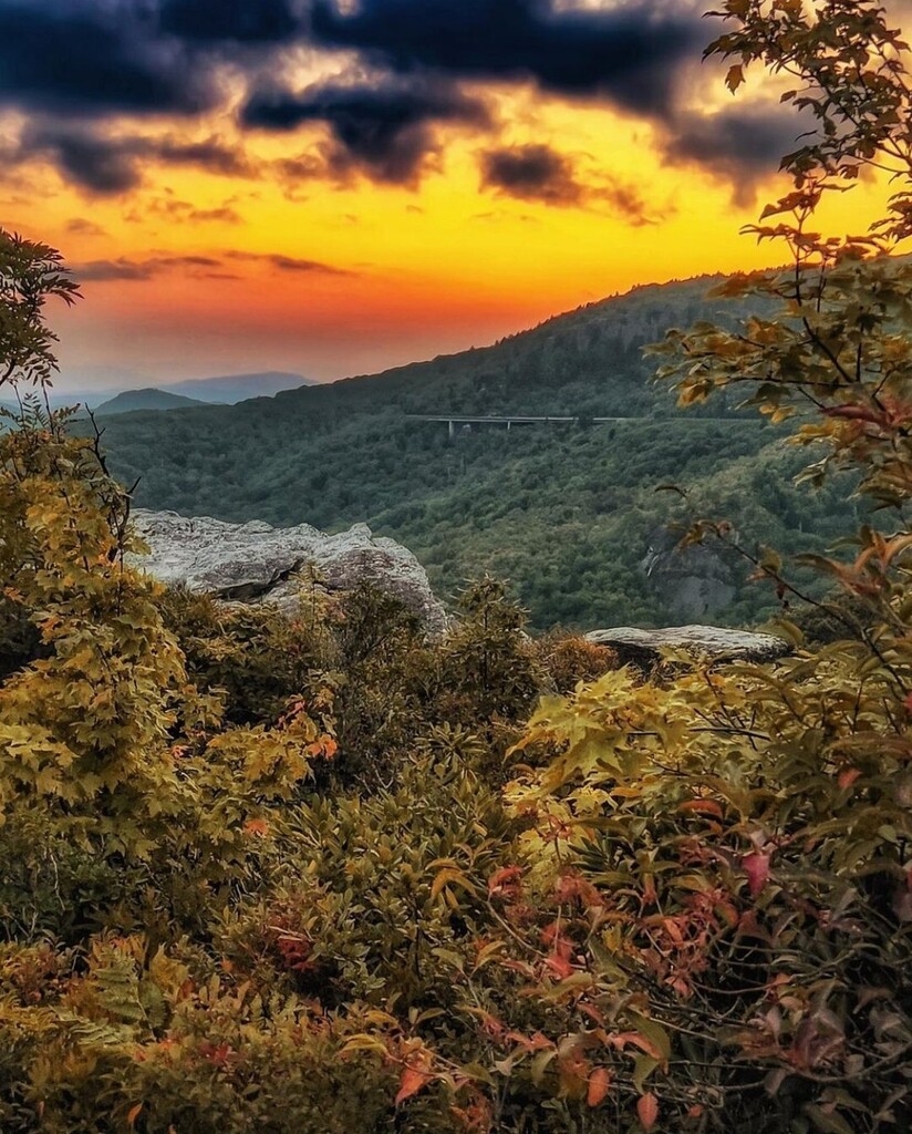 Explore Bryson City tweet media