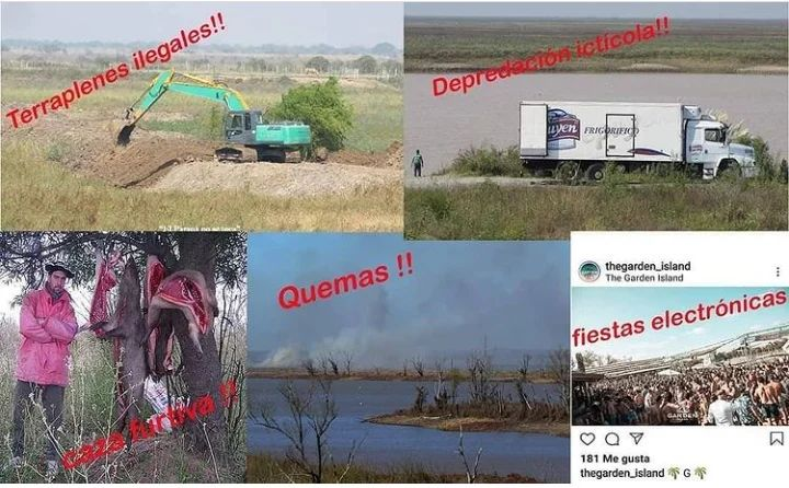 ParanaNOsetoca's tweet photo. No sabemos quiénes queman. Lo que sí sabemos es q la gente que cortó el puente el jueves xq no quiere la #LeyDeHumedales, son los q hace tiempo terraplenan la isla, secan arroyos, desforestan, sobrecargan de vacas los humedales, realizan mega-fiestas y fomentan la caza furtiva. https://t.co/AiTVatY2Tu