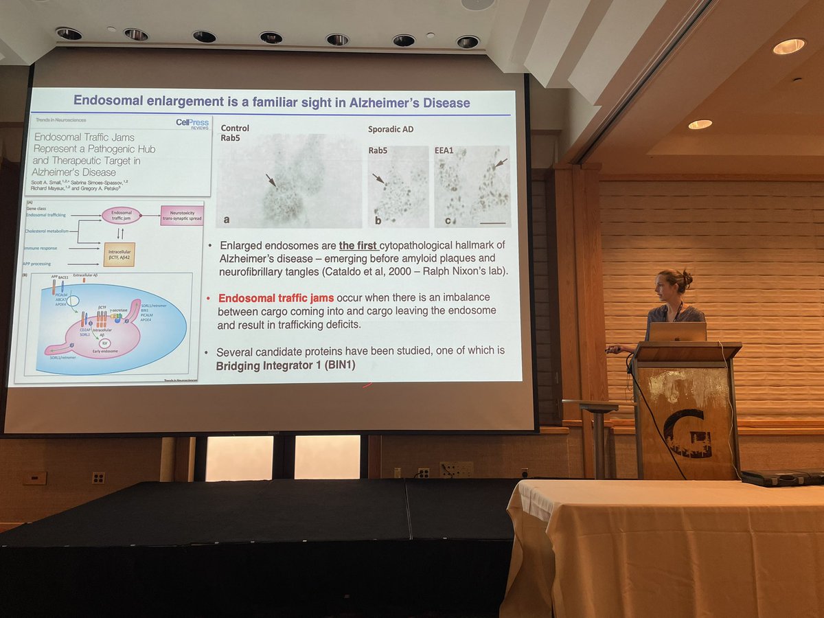 Rose Dixon (@roseedixon1) on Twitter photo More from this weekends <a href="/ucd_physiology/">UC Davis Physiology</a> Symposium at beautiful Lake Tahoe. <a href="/MaartjeWesthoff/">Maartje Westhoff</a> from the lab presenting her exciting work on rejuvenation of the aging myocardium #proudmentor. More from this weekends <a href="/ucd_physiology/">UC Davis Physiology</a> Symposium at beautiful Lake Tahoe. <a href="/MaartjeWesthoff/">Maartje Westhoff</a> from the lab presenting her exciting work on rejuvenation of the aging myocardium #proudmentor.