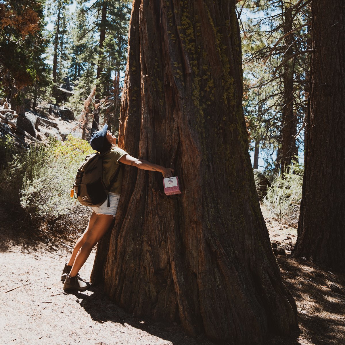 Ways we like to help take care of the planet.. ✅ @1percentftp ✅ @beclimateneutral ✅ Tree squeezing