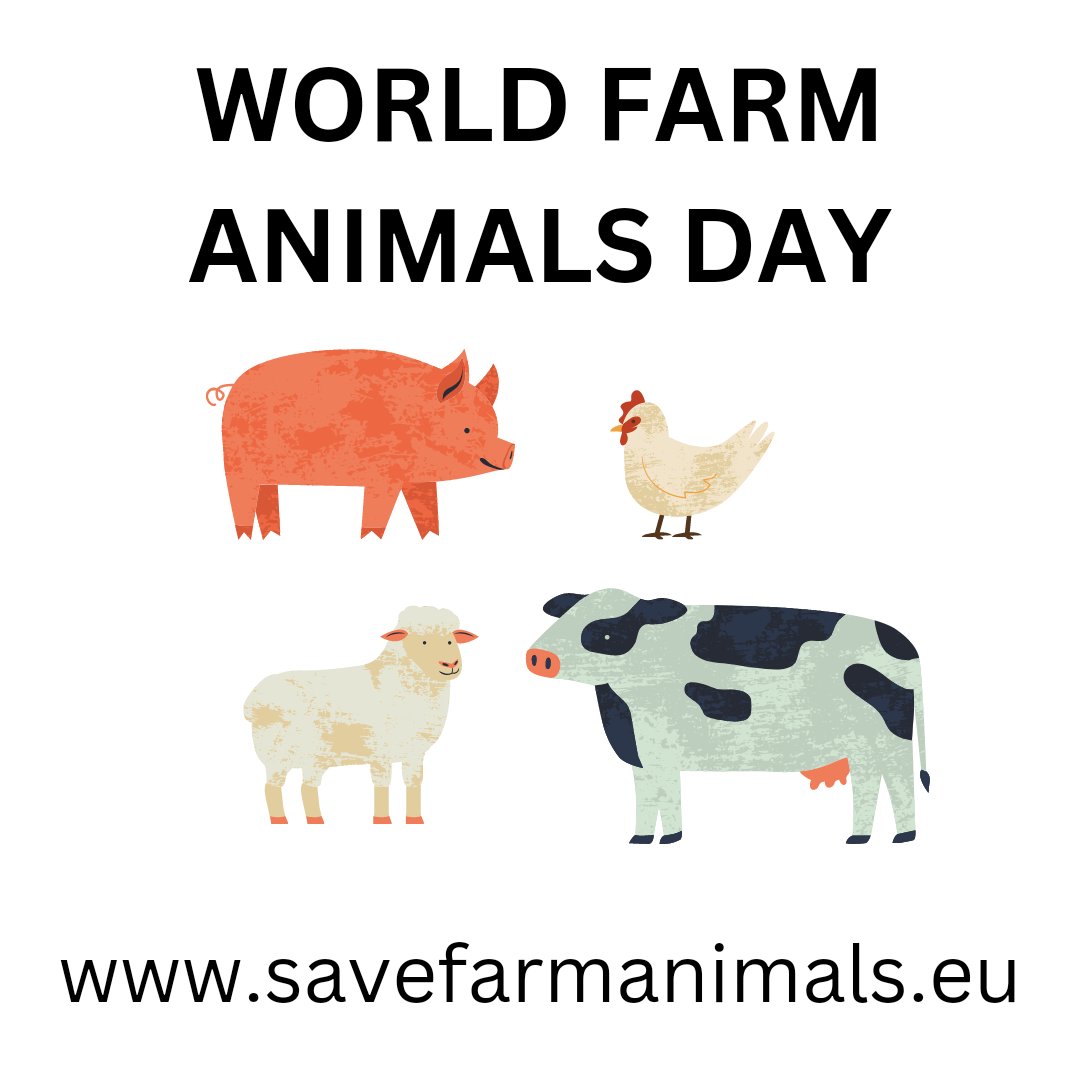 ETSA_Ireland's tweet photo. #DefundMeat #DefundDairy #endtheslaughterage
WORLD FARM ANIMALS DAY- Ask the European Commission to subsidise Ecological Alternatives to Livestock farming 🙏Sign the 'End the Slaughter Age' European Citizens Initiative at:
https://t.co/MRohbs1a26
Or
@ Link in the Bio🙏 https://t.co/OyArNATIyb