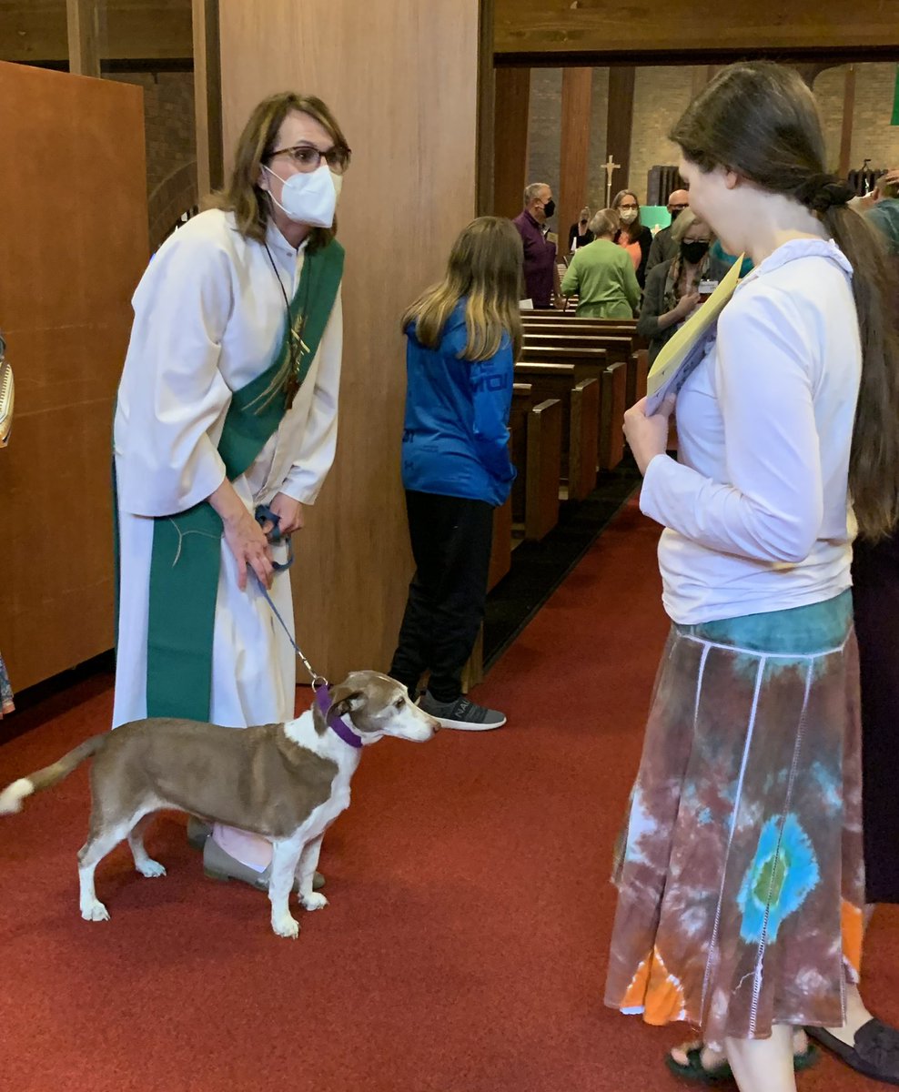 cjspacc's tweet photo. Today was the annual Blessing of the Animals at #GloriaDeiLutheranOlympia and the day did not disappoint! #animalblessing https://t.co/DqKlyKOZ24