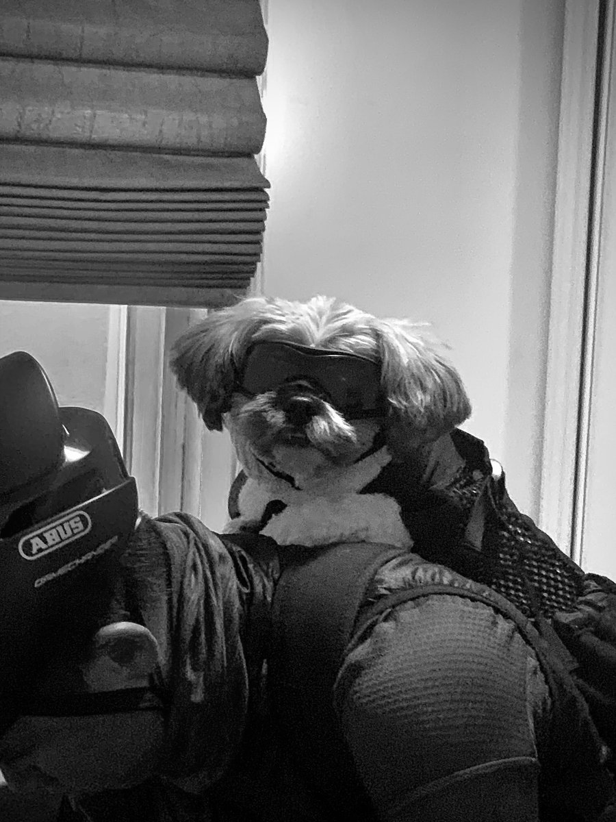 PalomarPosts's tweet photo. Only the coolest gear for the goodest boy 🕶🐶🚴🏻‍♀️

#MARK1051 #BikeTO #KnowYourSocial https://t.co/eMDpZPBKv3