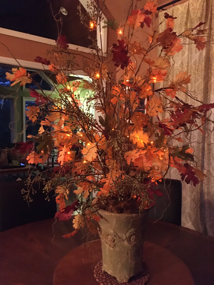 TacoTheTortoise tweet media