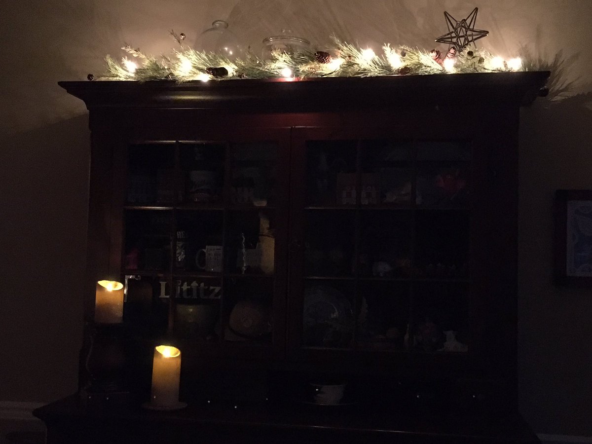 TacoTheTortoise tweet media