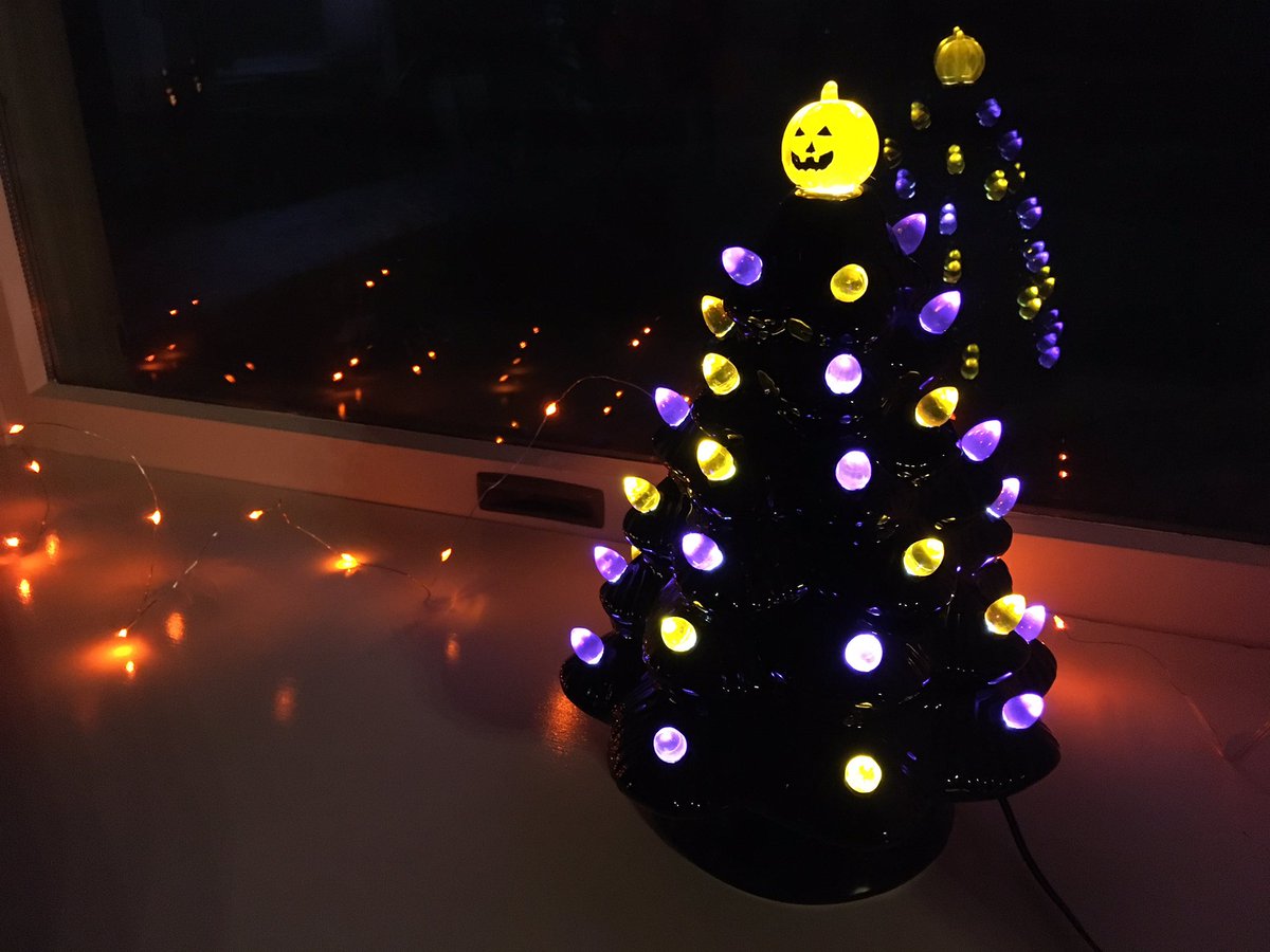 TacoTheTortoise tweet media