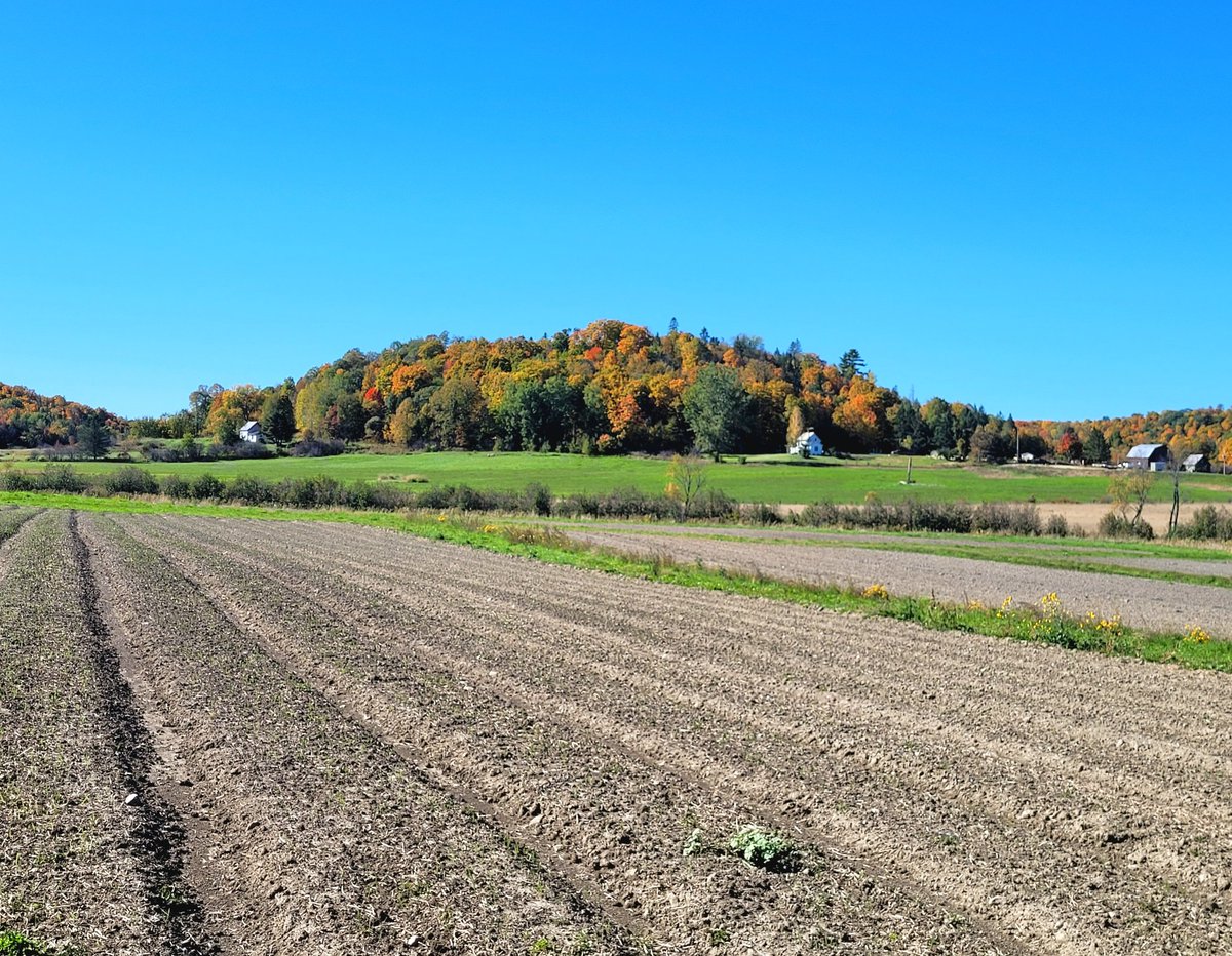 Tontine_og's tweet photo. "To her, farming as a woman
was always an act of resistance
in a world of corporate agriculture,
and the product of her labour
more than crops and livestock,
it was and still remains,
an offering to her community." Poetry by Diane Perazzo in the Sowing the Future art exhibit https://t.co/nseqawImUn