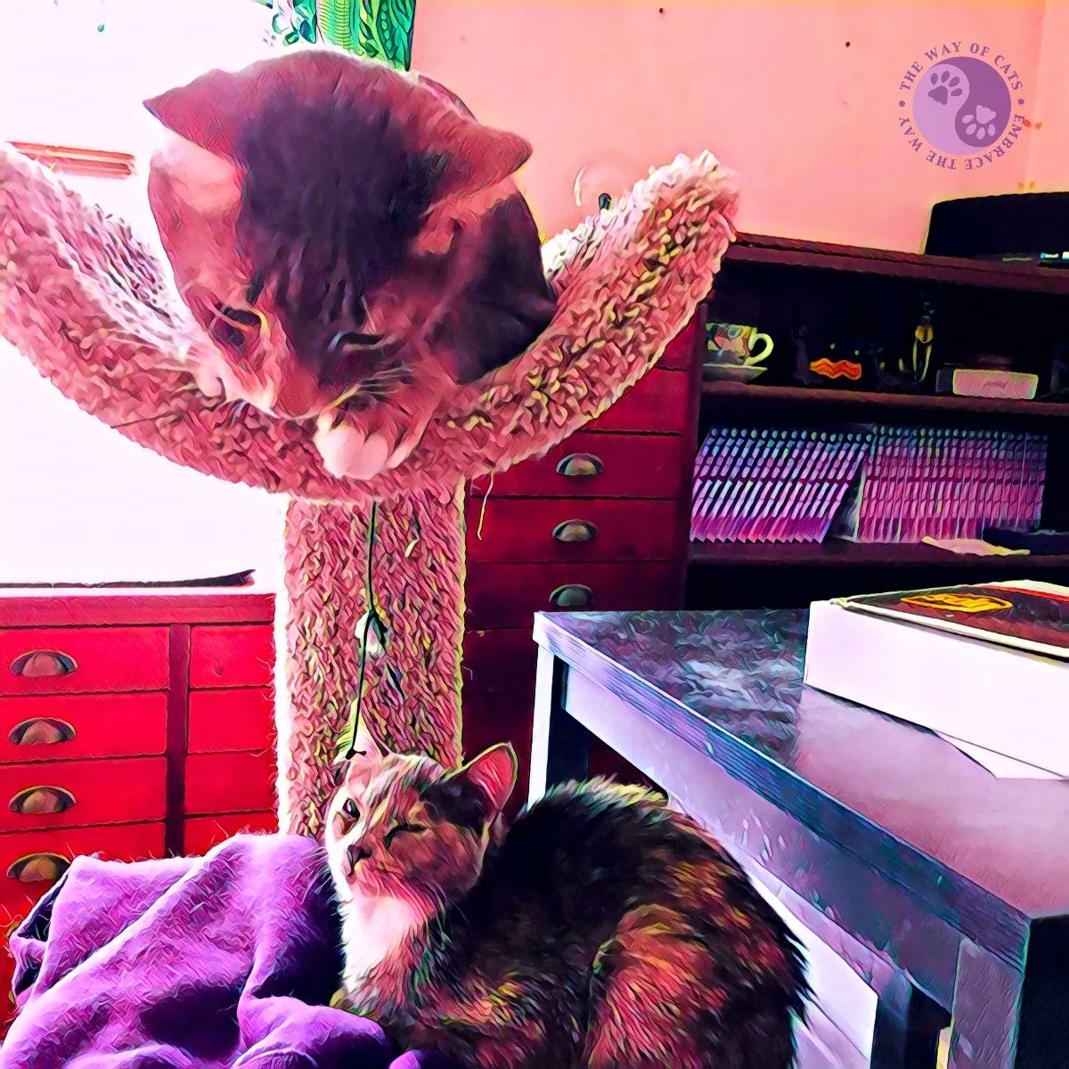 WayofCatsbook's tweet photo. A series about the life of a private investigator and his faithful secretary made Lou Costello and Rhiannon household names.
#TheDivineQueen #LoutheCreamfilledCat #CatsofTwitter #CatsofImagination https://t.co/gwYLwHDCIS