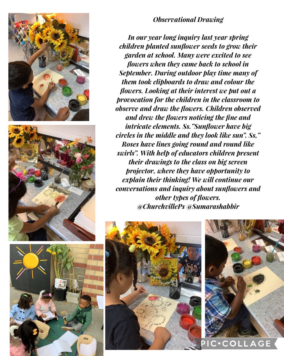 ChurchvilleK4's tweet photo. Growing a flower garden at school was an exciting and a wonderful learning opportunity for children in so many ways!!! ⁦⁦@Churchvilleps⁩ #PeelEYC ⁦@sumarashabbir⁩ https://t.co/UNzkThiLek