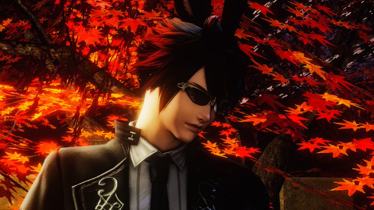 NovStormrave's tweet photo. The fall is here. https://t.co/BAfss5juup
