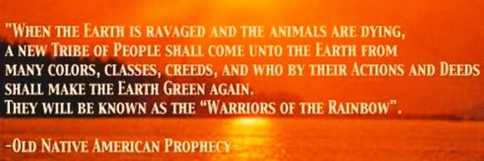 Water Protectors,Protect Life,Anything that concerns Water