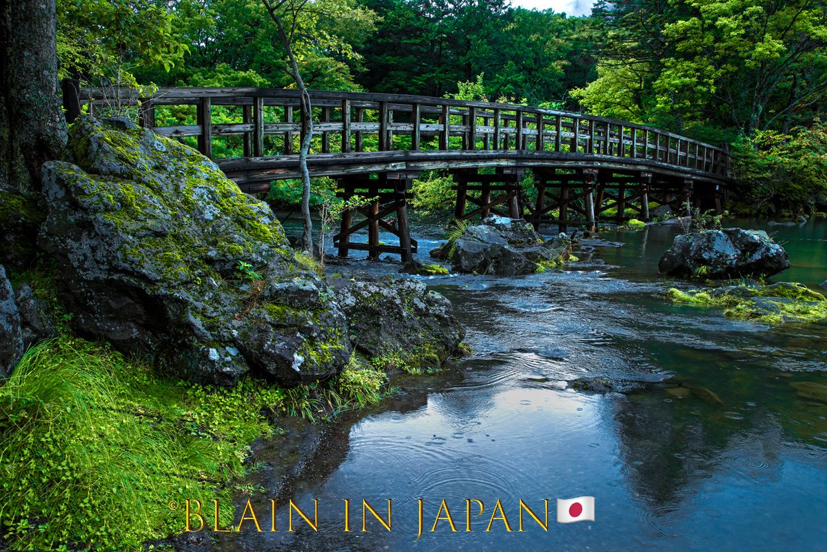 Perfect Forest Bathing Lookout #japan #ig_japan #japandreamscapes #blaininjapan #日本 ＃写真好きな人と繋がりたい ＃写真 ＃ファインダー越しの私の世界 ＃旅行 ＃旅 #bridge #foresttherapy #forest #lookout #橋 ＃森 #森林浴