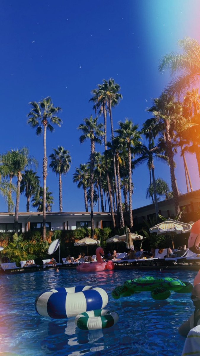 stylesbymion's tweet photo. I’m back in LA to cover a story I pitched for our October special, that I now get to co-produce. The shoot is tomorrow. But for now I’ll take in this much needed vitamin D🌴. Thanking God I’m living the life I prayed and worked so hard for. https://t.co/s8xmCWoESr