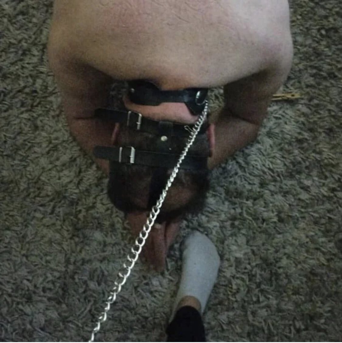 DomHerein's tweet photo. J’ai reçu la visite de cette métrique d’esclave aujourd’hui dans mon donjons et maintenant je cherche un nouveau petit merde as mes pieds https://t.co/7YMDt8G8V4