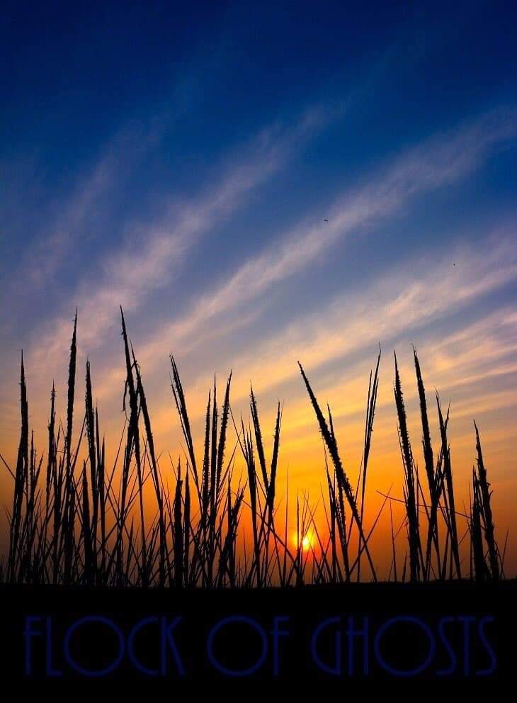 .
단단한 돌이나 쇠는 높은 데서 떨어지면 깨지기 쉽다.

그러나 물은 아무리 높은 곳에서 떨어져도 깨지지 않는다.

물은 모든 것에 대해서 부드럽고 연한 까닭이다.

                           노자
.