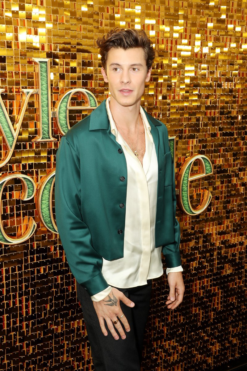 LyleCrocodile's tweet image. We're kicking off the #LyleLyleCrocodile World Premiere with @ShawnMendes at @AMCTheatres in @Dolby Cinema! 🐊