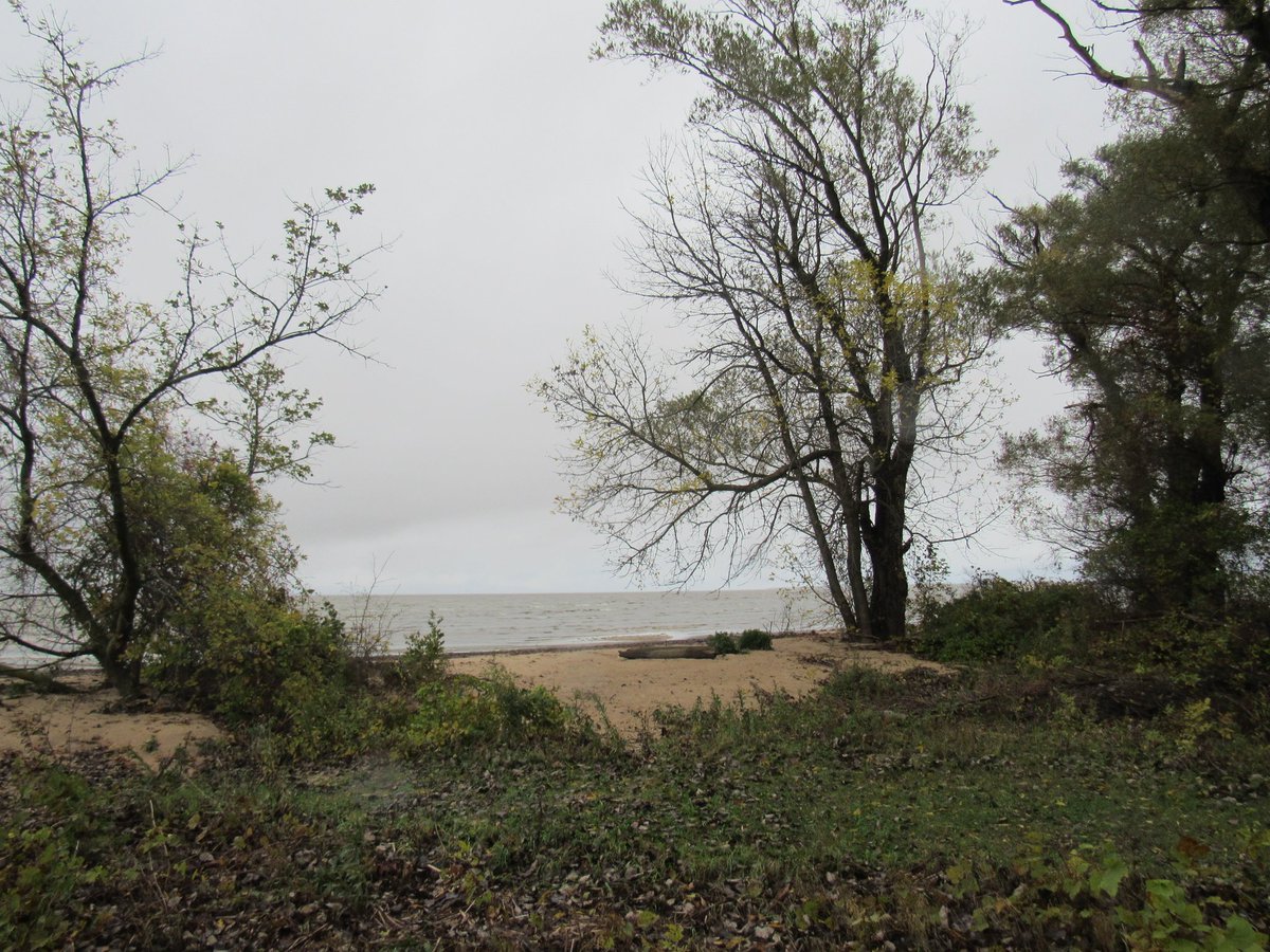 TomGS11's tweet image. #BayCityStatePark #MichiganParks