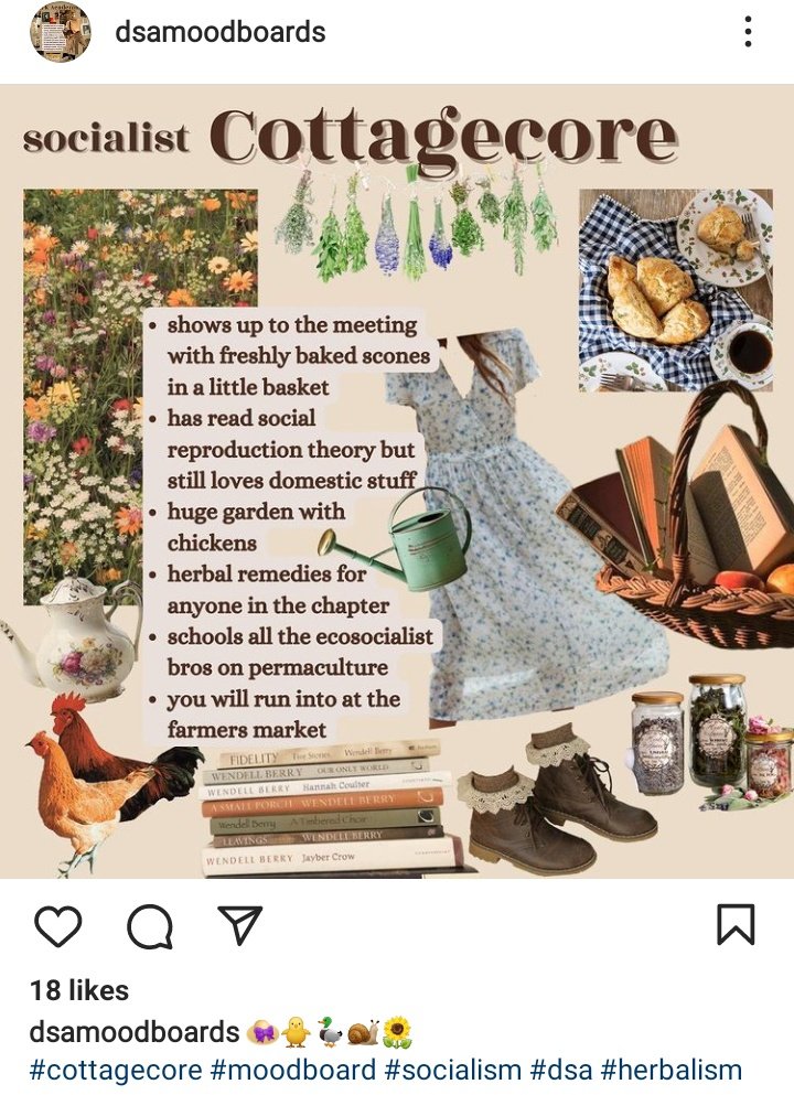 SrirachaVodka's tweet photo. I found a "DSA mood boards" account on Instagram that is good vibes and scary accurate and I am obsessed https://t.co/7t9pT3h5Ve