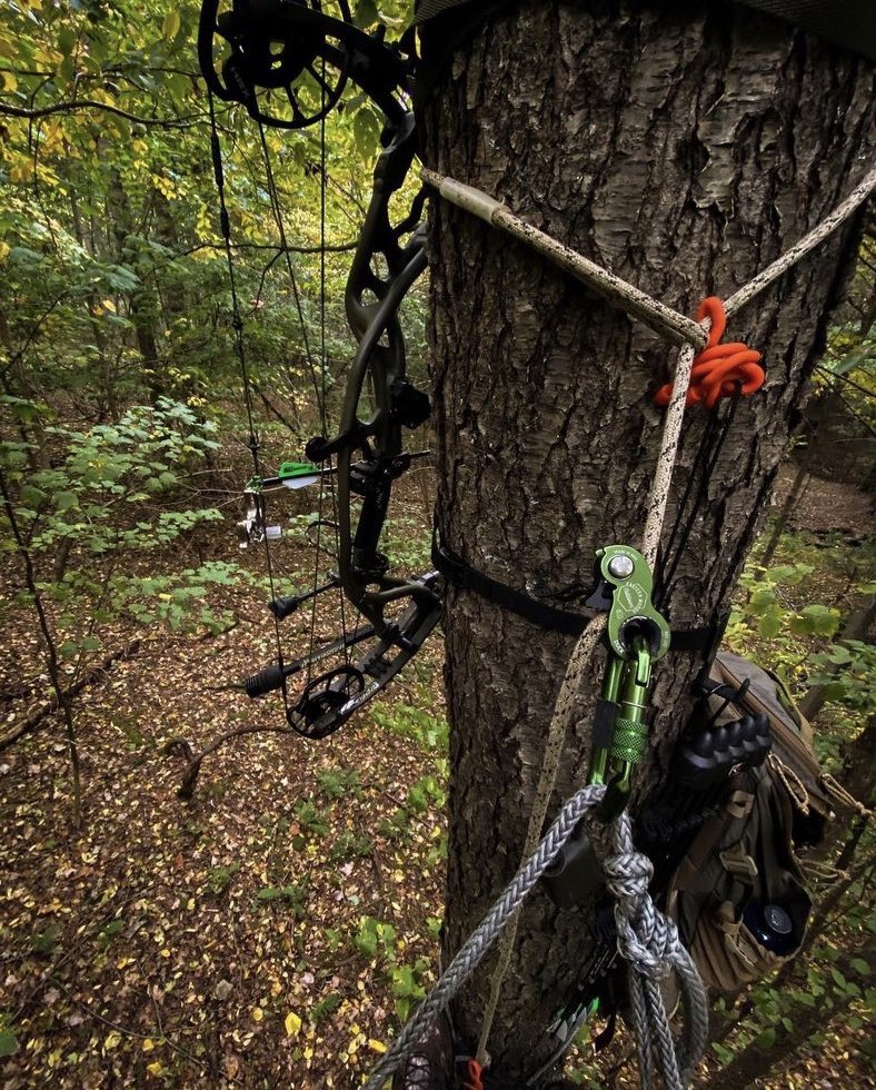 EzraThrush's tweet photo. Rainy, albeit great time out yesterday morning with the boys for the first day of bow season in PA. πͺ #usaarchery #level2archer #usaainstructors #pa https://t.co/FydJjW6a1V