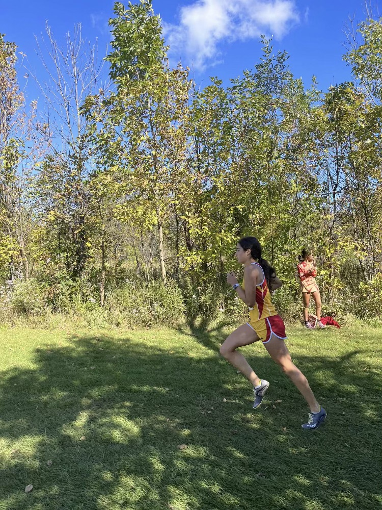 DSHA Athletics tweet media