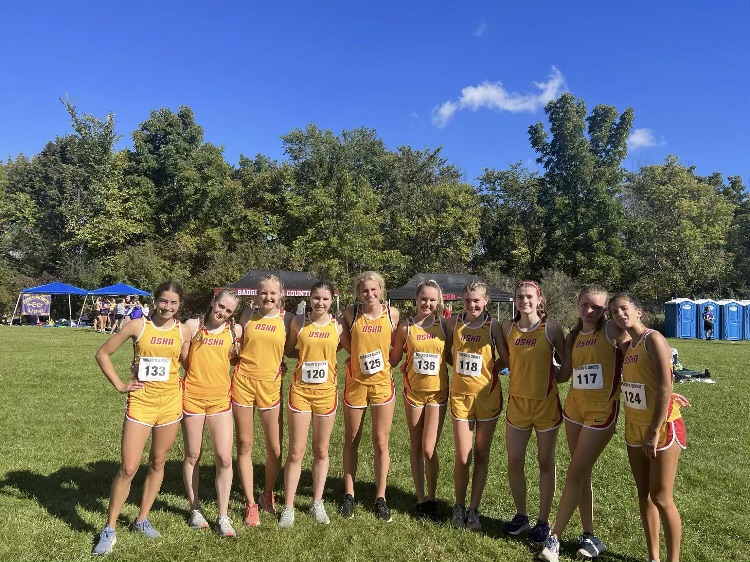 DSHA Athletics tweet media