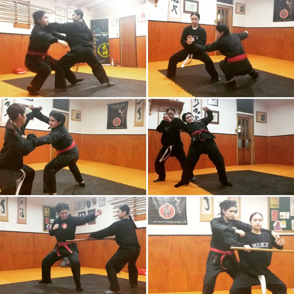 DojoTeinen's tweet photo. Examen Kyu, jueves 29 de septiembre del presente año...

Feliz de observar el crecimiento de las estudiantes.

#artesmarciales #bujinkan #budotaijutsu #examenkyu #aysen #patagonia https://t.co/gMeTCSM7Es