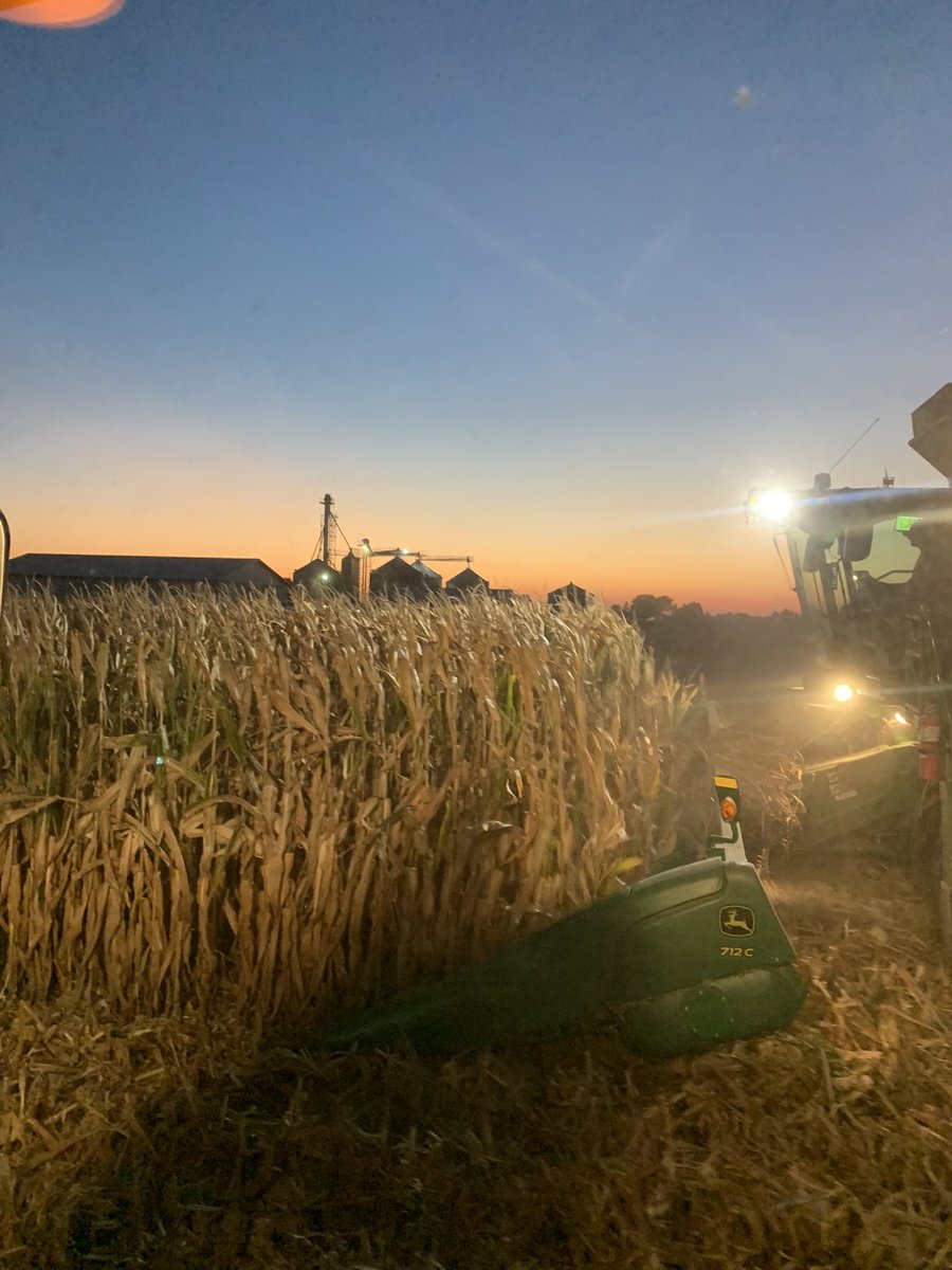 Not a bad way to spend the evening!