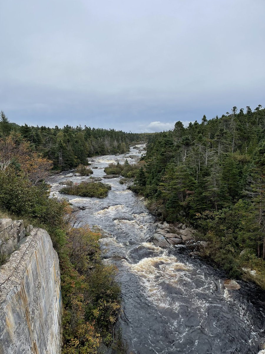Davidlnewman's tweet photo. Manuel’s River Trestle
#NewfoundlandandLabrador #ConceptionBaySouth #ManuelsRiver #Autumn #railwaytrestle #mobileoffice #outportcity #allthatmightbetrue https://t.co/th66QK9DHU