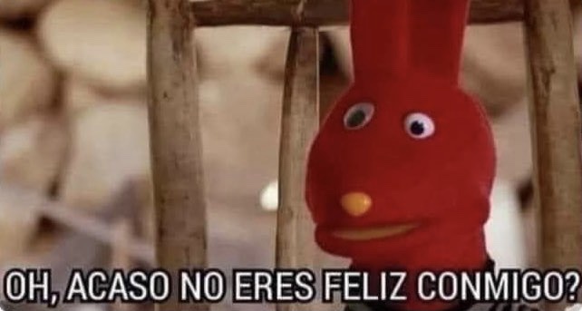 Cuando abrazo a mi perrito y se retuerce para irse: