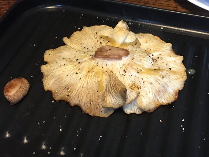 焼いてシークワーサーの酢をかけて塩胡椒で食べました手のひら位の大きさなので食べ応えがある収穫が遅かったので味が少し薄い気がするけど匂いも味もちゃんとしいたけうまい 