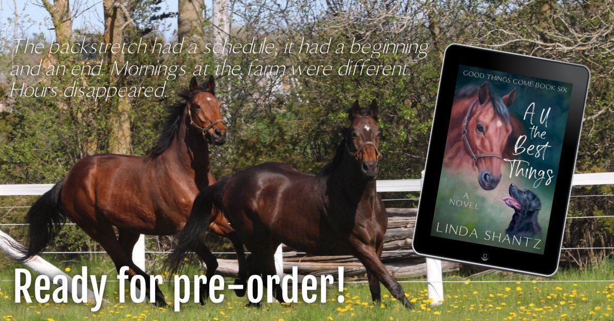 The next book in the Good Things Come Series is ready to pre-order. 🥳 
.

Here's where 🙂 : books2read.com/all-the-best-t…