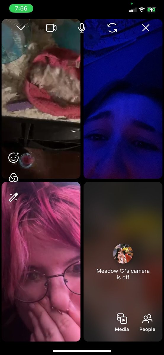 mpont__'s tweet photo. @Dream my friends hamster died while we were waiting for your face reveal  </3 https://t.co/goR3NmWLVK