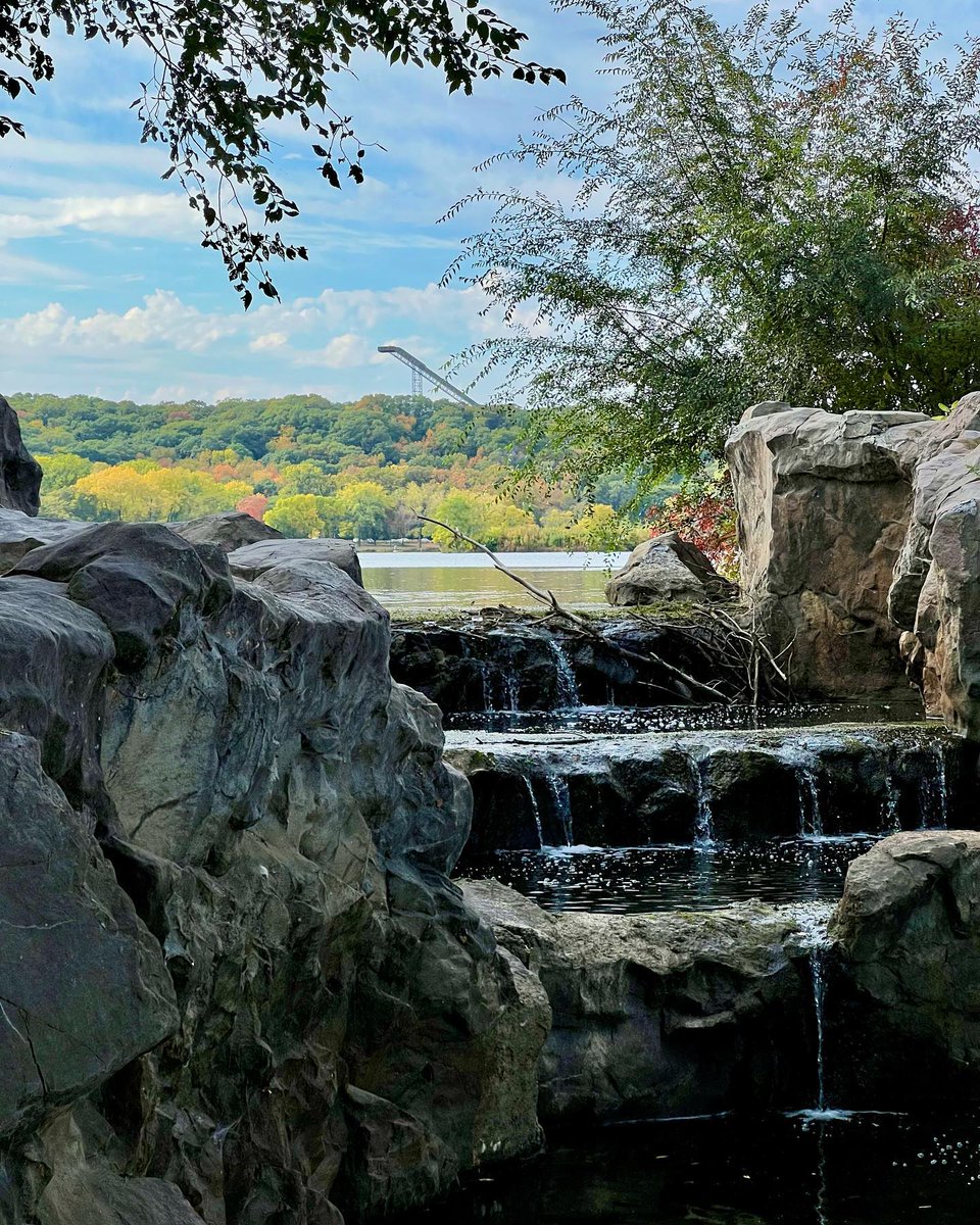 canorm's tweet photo. #fall #minnesota #bloomingtonmn #fallcolors #goplayoutside https://t.co/phnGVRJK0f