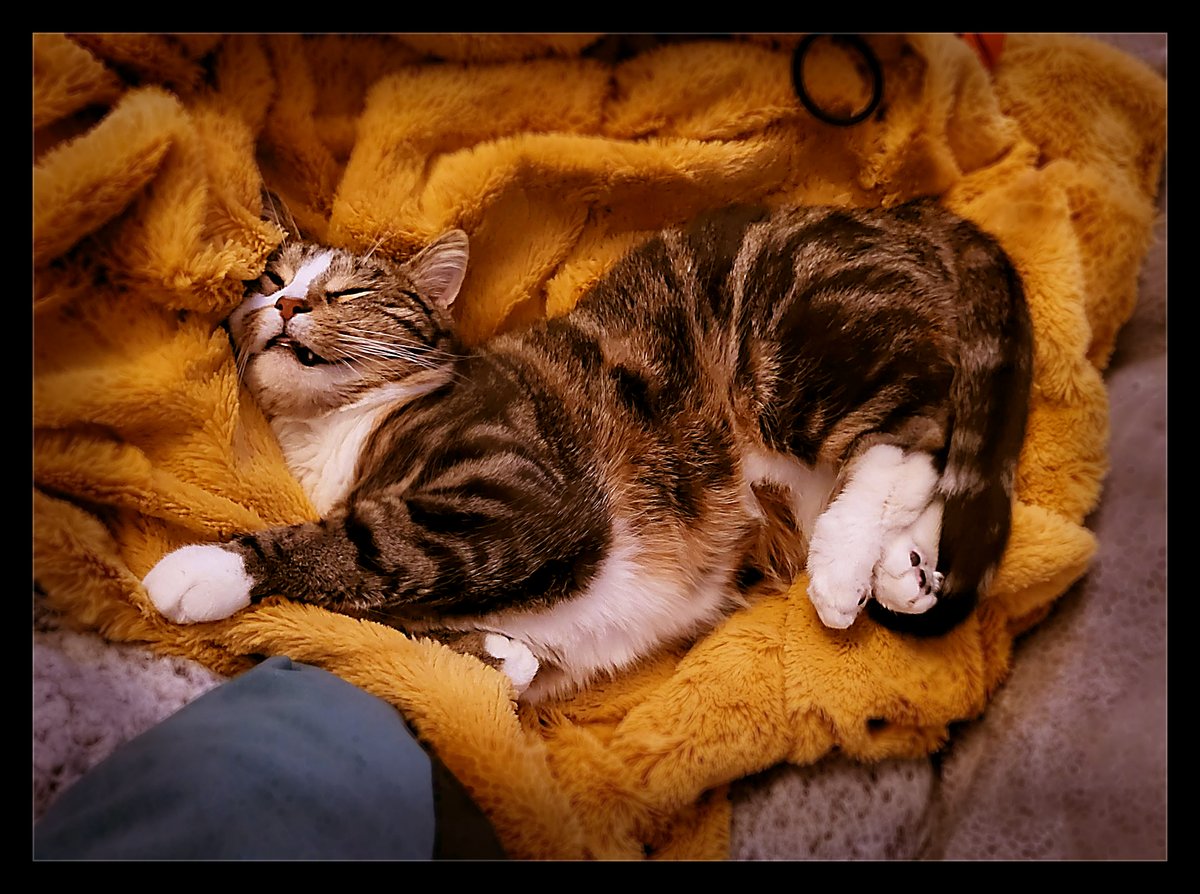 Paint me like one of your French ghouls.