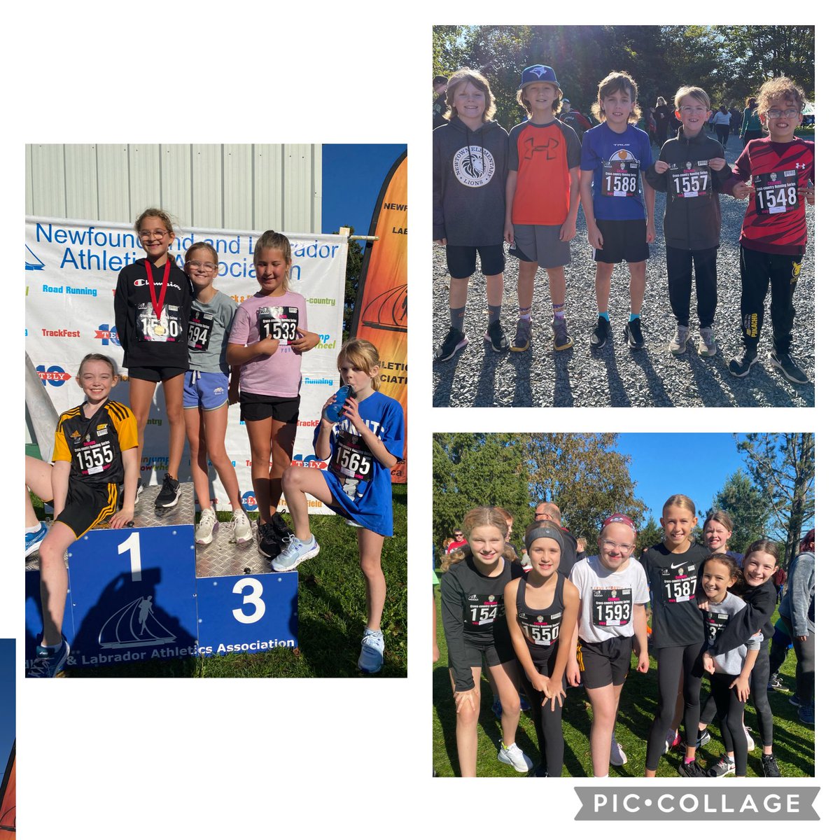 Another great weekend of Cross Country running for the Newtown Lions ⁦<a href="/NLESDCA/">NLESD</a>⁩ ⁦<a href="/NLAthletics/">NLAA</a>⁩ ⁦<a href="/NewtownElem/">Newtown Elementary</a>⁩ ⁦<a href="/TinaJacobsNL/">Tina Jacobs</a>⁩