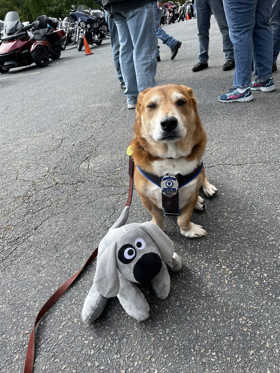 Olliemutt's tweet photo. Therapy Dog Oliver 🐾 loves helping out one of his favorite causes Trouble the Dog 🐾 annual motorcycle 🏍️ fun raiser ride. Thanks Sheila for all the great work you are doing!! Oliver 🐾 met new friends Nancy, Laurie, &amp; Paula &amp; Jackson  🐾 #community #spreadingsmiles https://t.co/xeHSt5OrQp