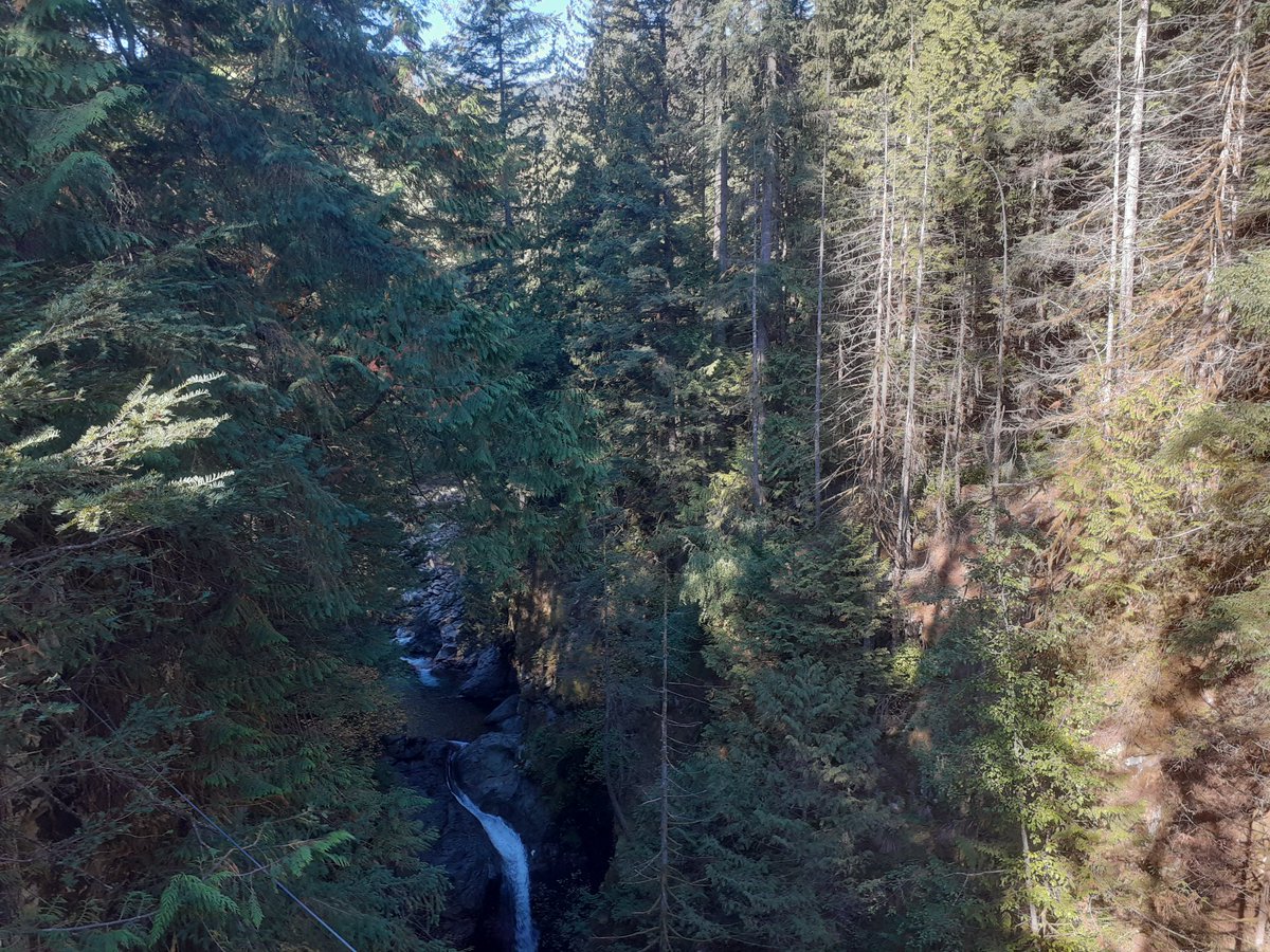 Valentin Magnon tweet media