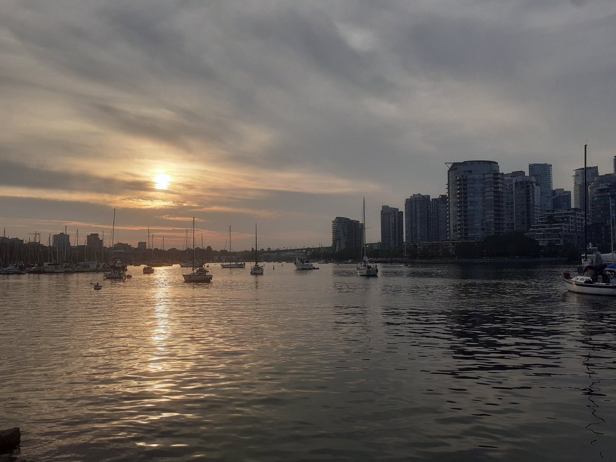 Valentin Magnon tweet media