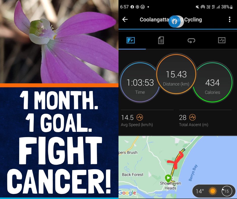 Stratocharge's tweet image. Got the first ride in for Kids Cancer. Found orchids too. Donate now mymark.mx/KidsCancerRide #gccoz @MarkSCarrington @velokraft